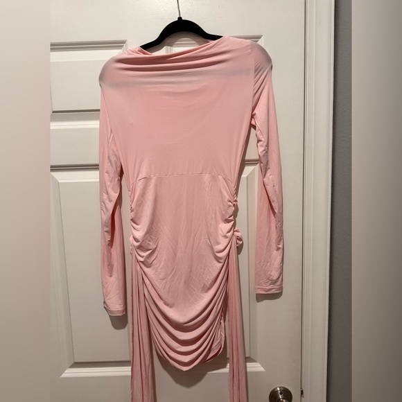 Lioness Long-Sleeve Blush Dress - Picture 10 of 13